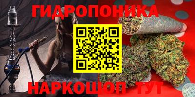 шишки Лесосибирск
