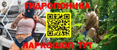 шишки Лесосибирск