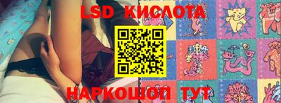 шишки Лесосибирск
