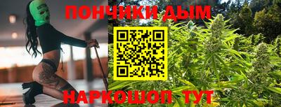 шишки Лесосибирск